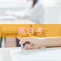 天津慧永諾教育信息咨詢 專業引領，點亮未來教育之路